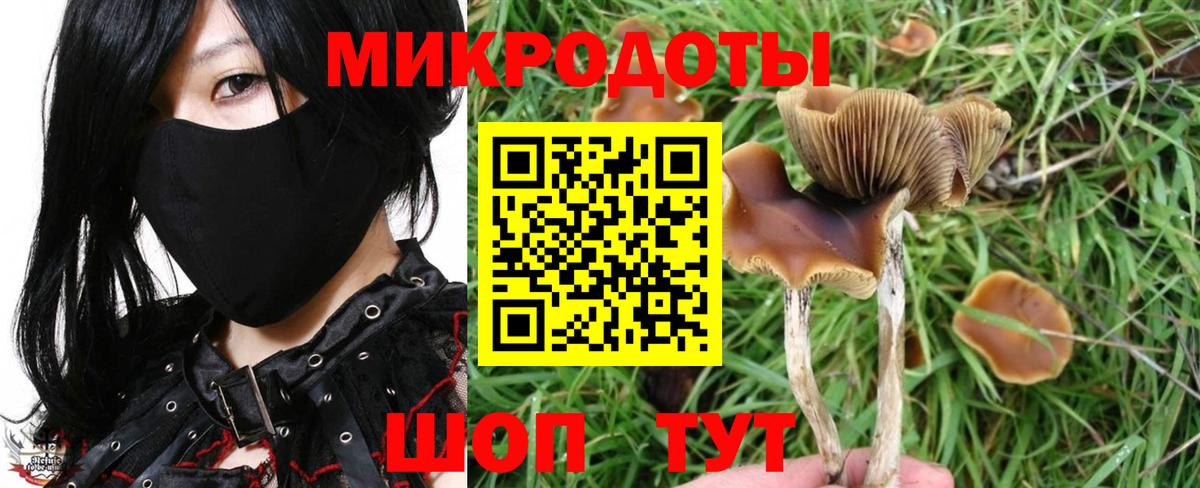 Липецк  Псилоцибиновые грибы мухоморы  Вход с VPN 