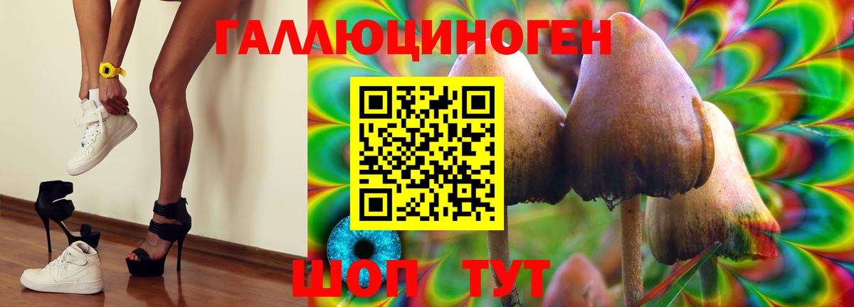 Псилоцибиновые грибы прущие грибы Липецк